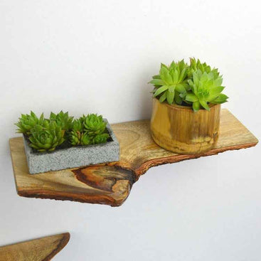 Solid Wood Floating Shelf - Stylish Wall Décor for Functional Living Spaces