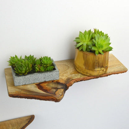 Natural solid wood shelf for home décor in 30cm size.