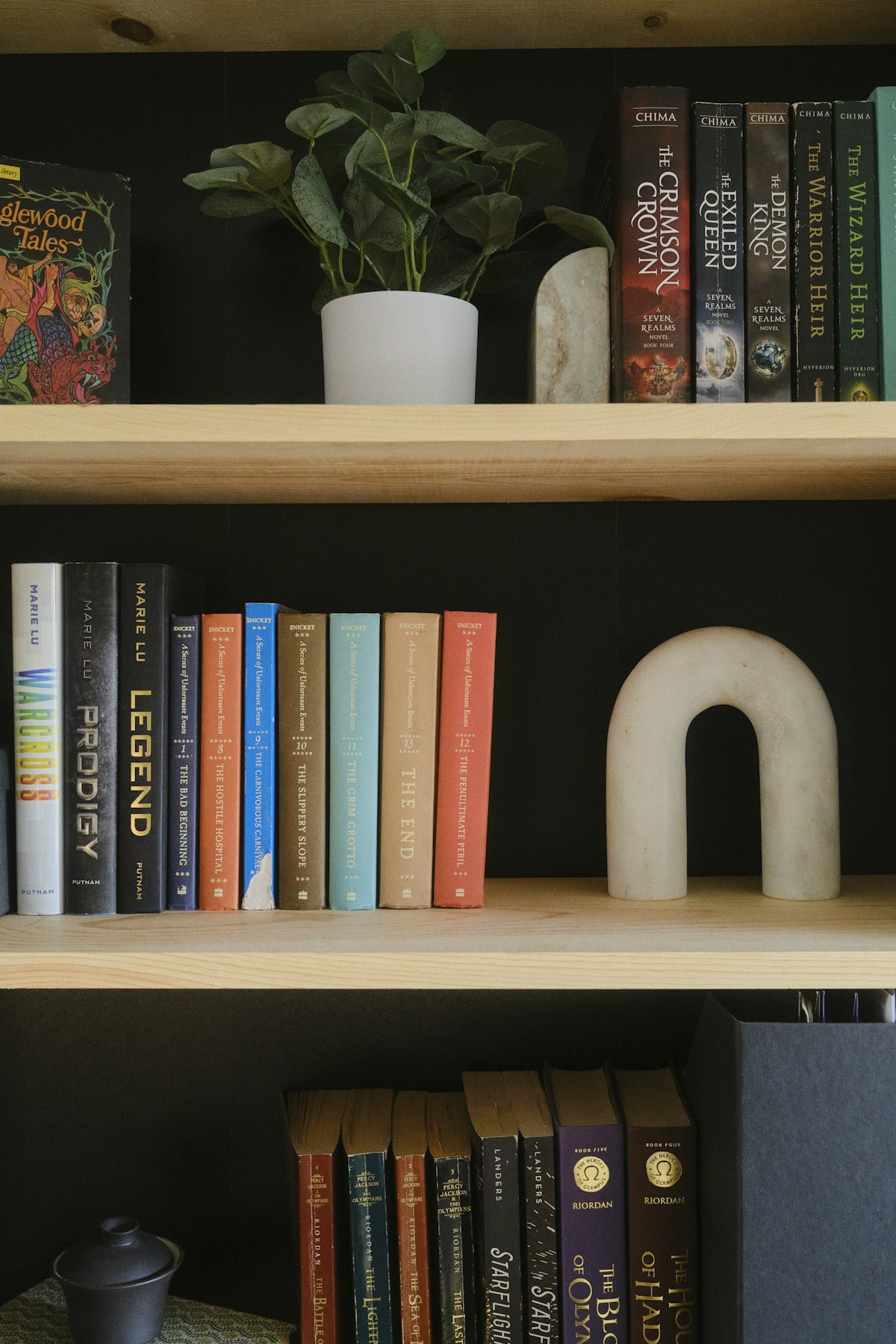 Bookshelf filled with books next to a potted plant