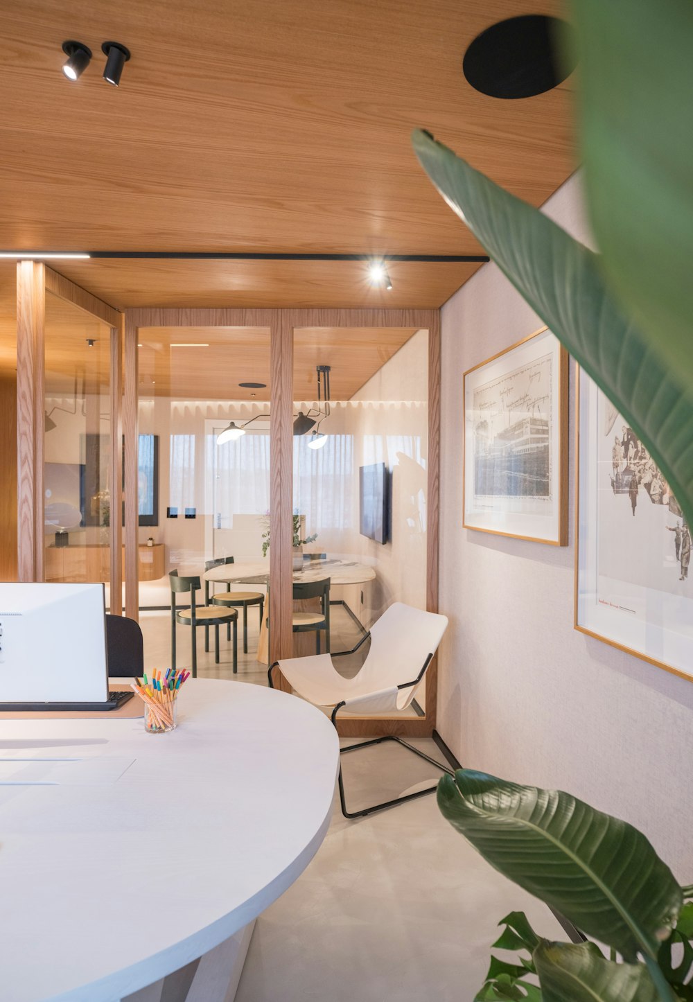 Modern office with glass partitions, timber details and indoor plants
