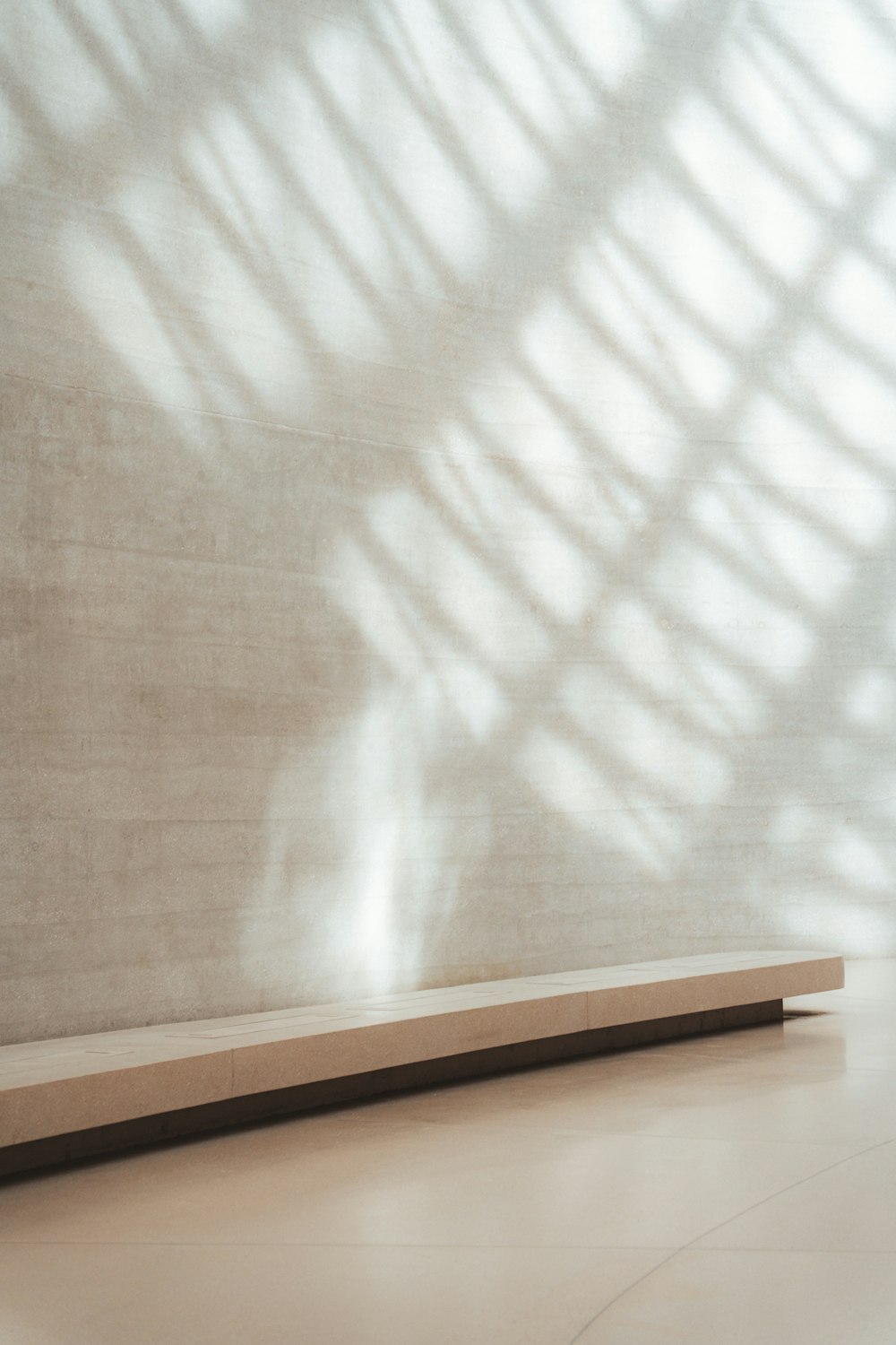 Palm leaf shadows falling across a plaster wall and a simple bench